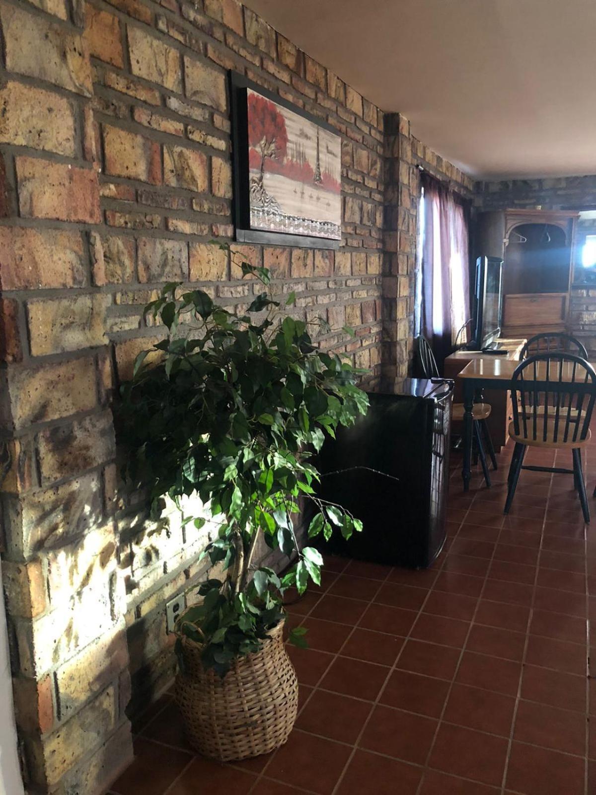 Apartamento Tony Chumpos San Felipe (Baja California) Exterior foto